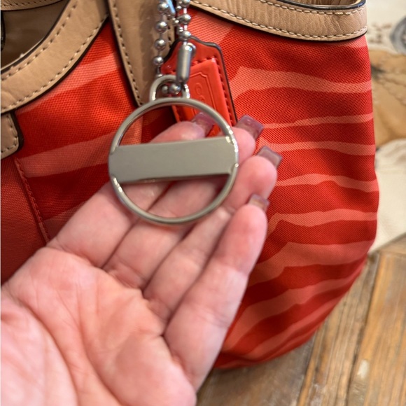 Coach Zebra - Picture 4 of 12